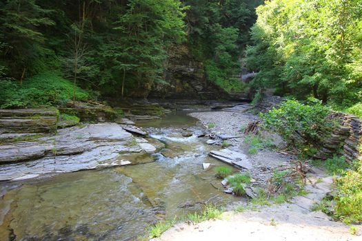 Robert E Treman State Park, New York