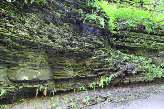 Robert E Treman State Park, New York