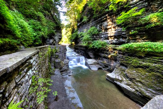 Robert E Treman State Park, New York