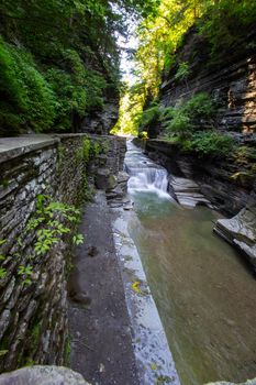 Robert E Treman State Park, New York