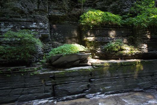 Robert E Treman State Park, New York