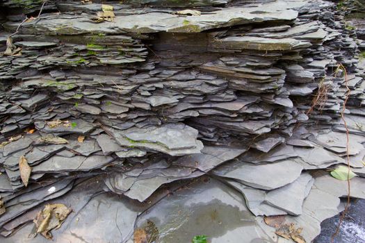 Robert E Treman State Park, New York