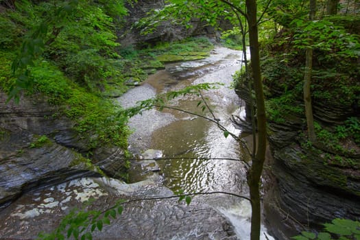 Havana Glen park, Montour Falls, New York