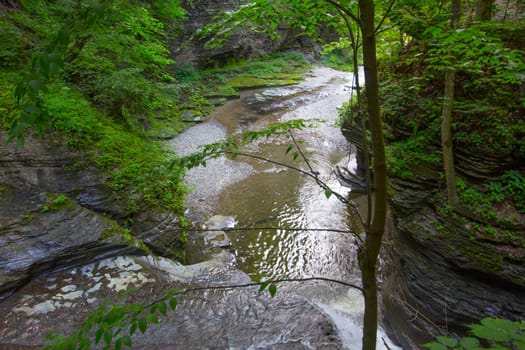 Havana Glen park, Montour Falls, New York
