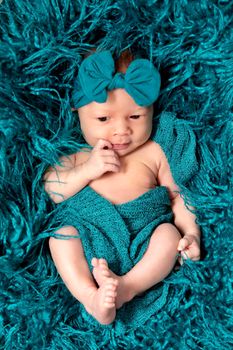 Newborn baby 2 weeks old in blue fluffy blanket. Portrait of pretty newborn baby.