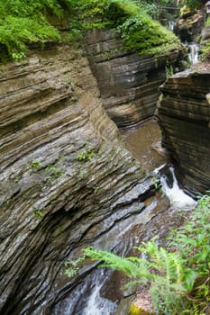 Watkins Glen State Park