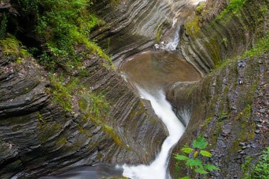 Watkins Glen State Park