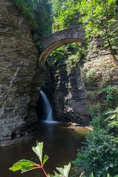 Watkins Glen State Park