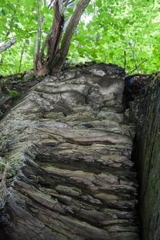 Watkins Glen State Park
