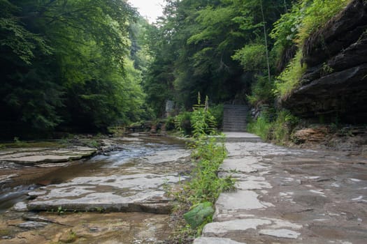 Watkins Glen State Park