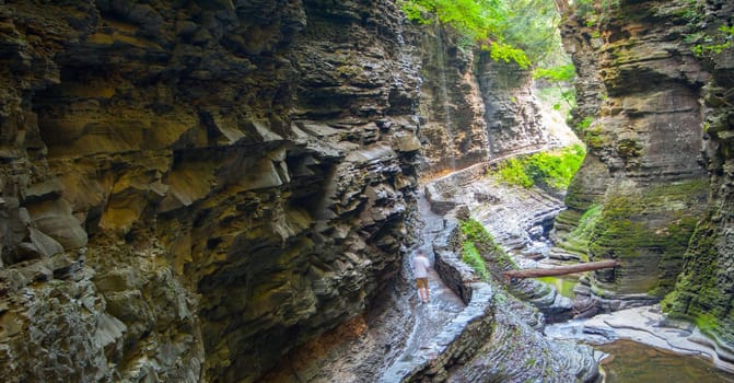 Watkins Glen State Park