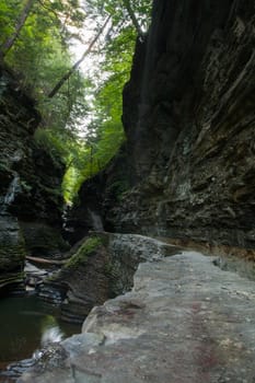 Watkins Glen State Park