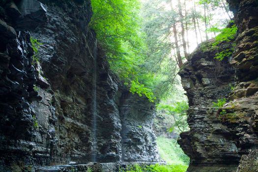 Watkins Glen State Park
