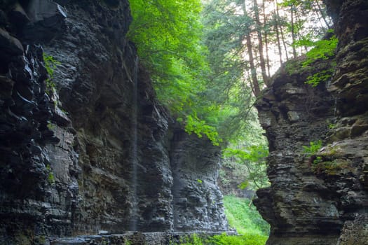 Watkins Glen State Park