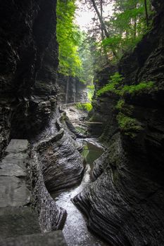 Watkins Glen State Park