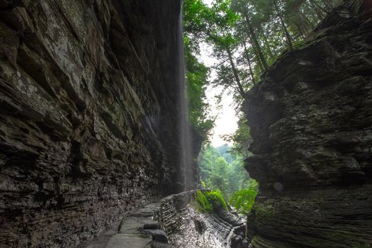 Watkins Glen State Park