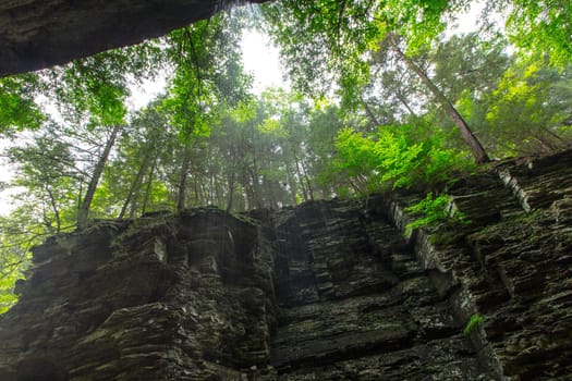 Watkins Glen State Park
