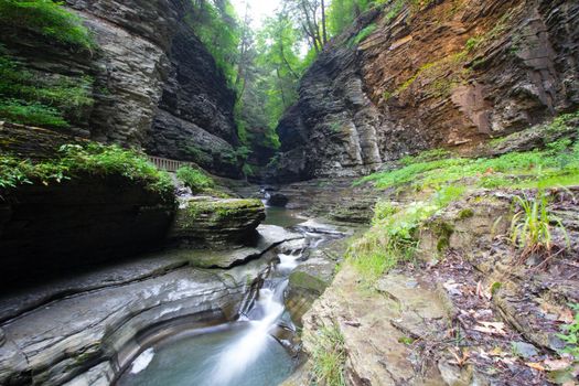Watkins Glen State Park