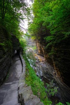 Watkins Glen State Park