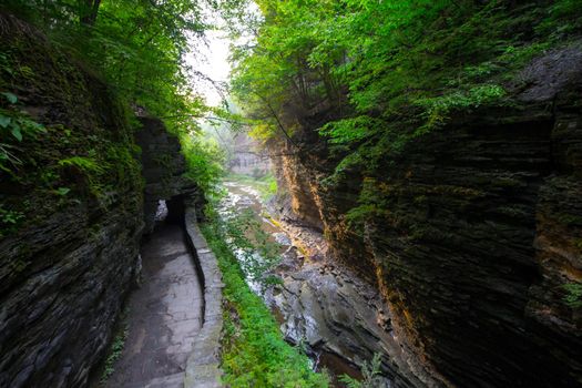 Watkins Glen State Park