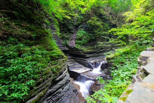 Watkins Glen State Park