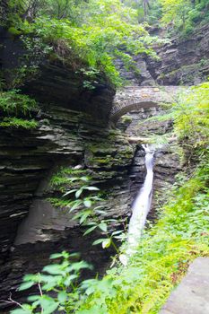 Watkins Glen State Park