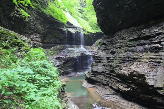 Watkins Glen State Park