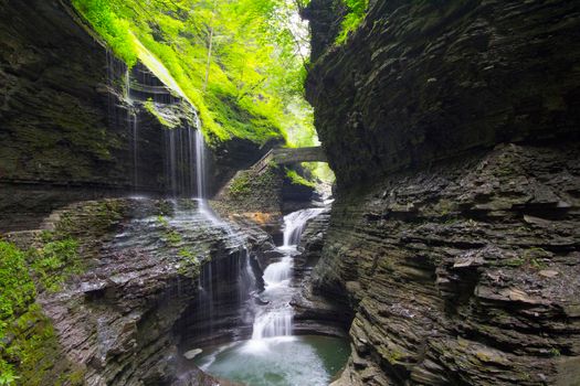 Watkins Glen State Park