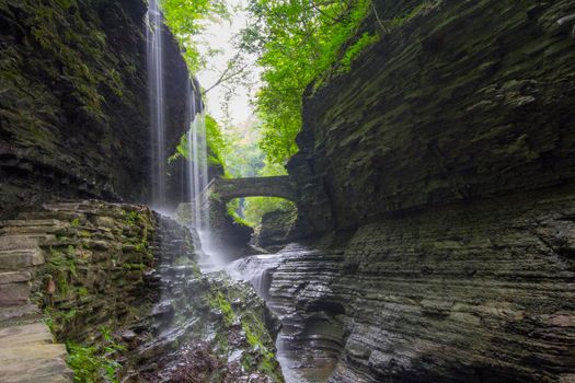 Watkins Glen State Park