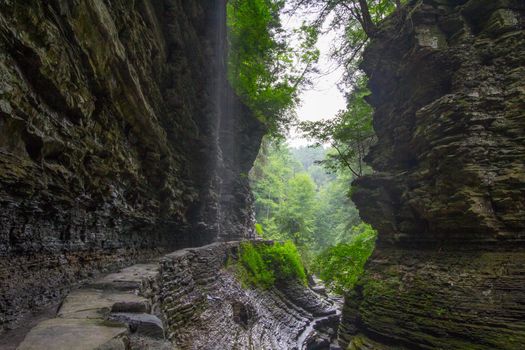 Watkins Glen State Park