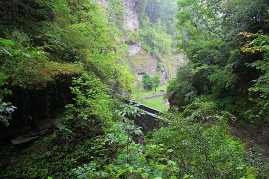 Watkins Glen State Park