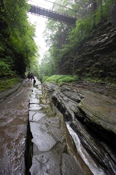 Watkins Glen State Park