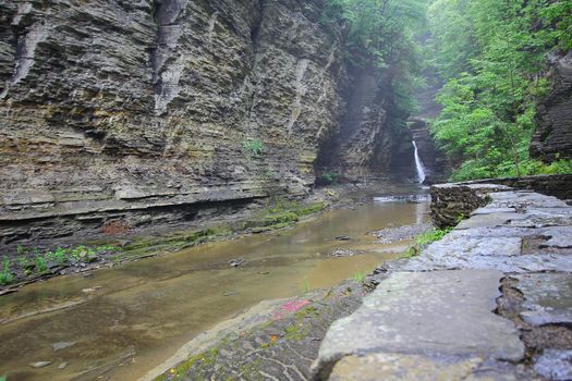 Watkins Glen State Park