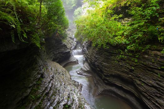 Watkins Glen State Park