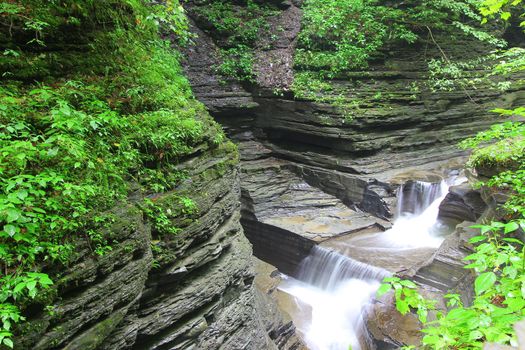Watkins Glen State Park