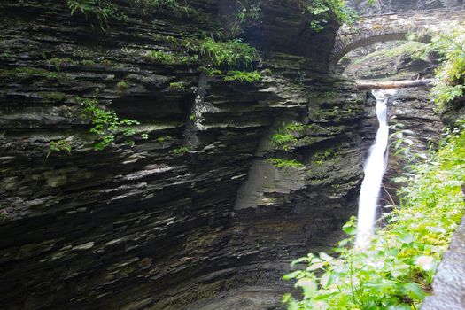 Watkins Glen State Park