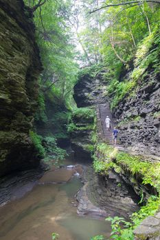 Watkins Glen State Park