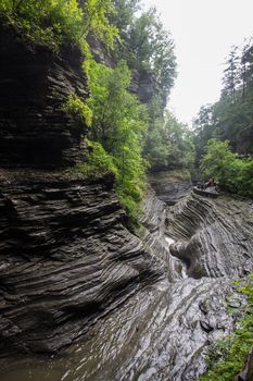 Watkins Glen State Park