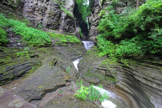 Watkins Glen State Park
