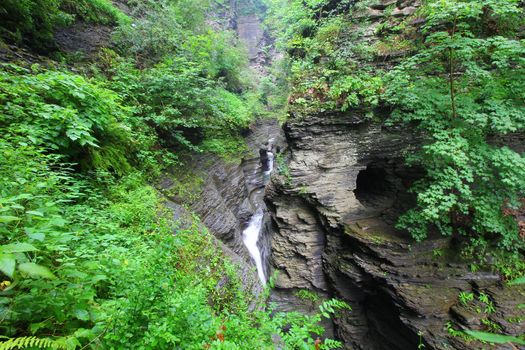Watkins Glen State Park