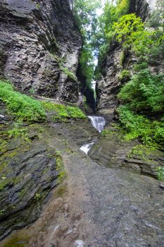 Watkins Glen State Park