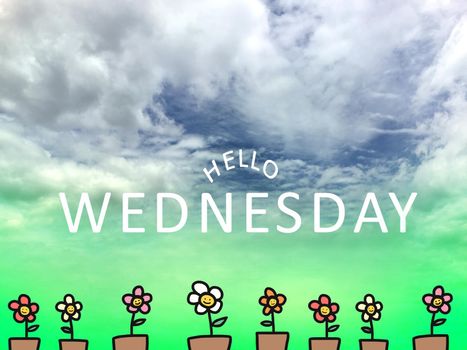 Hello Wednesday word on blue and green sky and flower pot drawing background