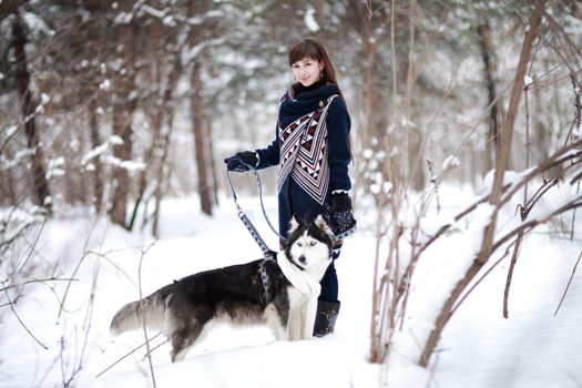 The girl walks with dog siberian husky in a winter snowy forest. 