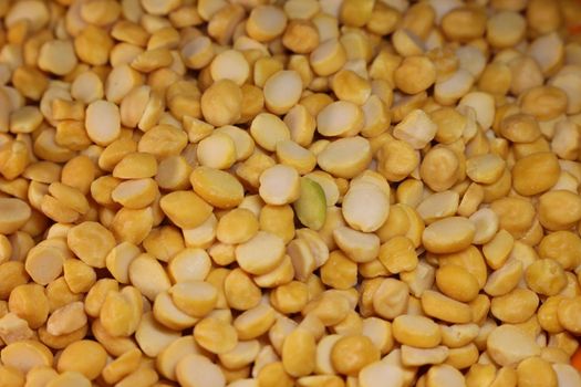 Yellow chickpea lentils seeds macro closeup view. Chana daal or yellow split peas spread background