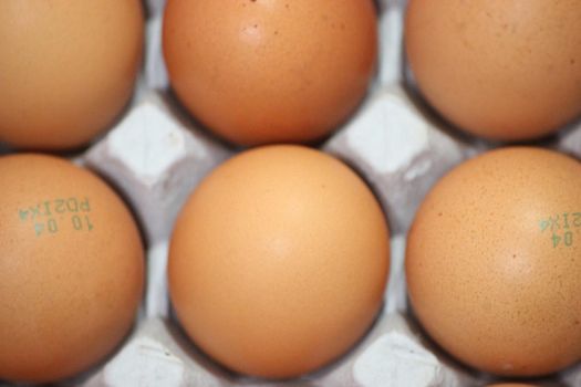 Closeup view with selective focus on fresh farm chicken eggs in an egg-carton or egg holder or paper tray placed in market for sale