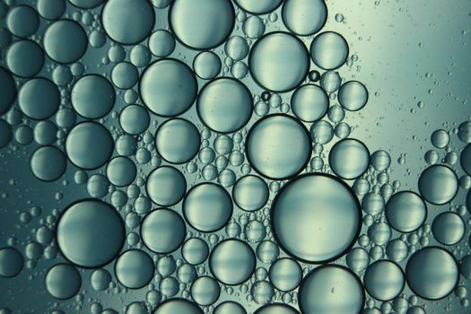 abstract macro background of oil circles floating over water surface . Macro closeup view of bubbles on water . oil bubbles in the water macro photographic background