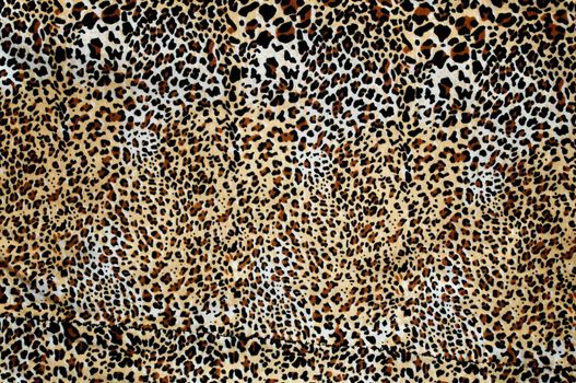 Close-up leopard print pattern for background use.Texture or background