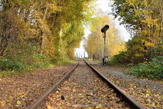 Railroad tracks with trees on both sides in autumn on a sunny day