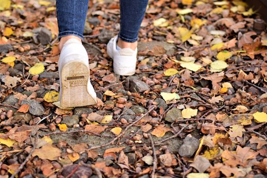 Walking legs wearing blue jeans and white shoes on autumn leaves and old railroad tracks