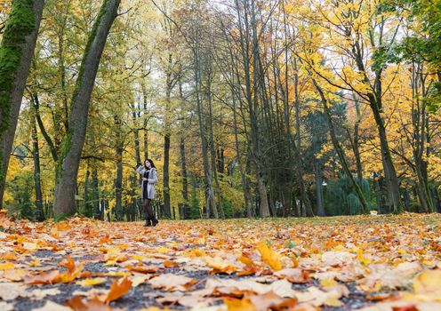 young girl in a gray coat standing on an alley in a city park on autumn day